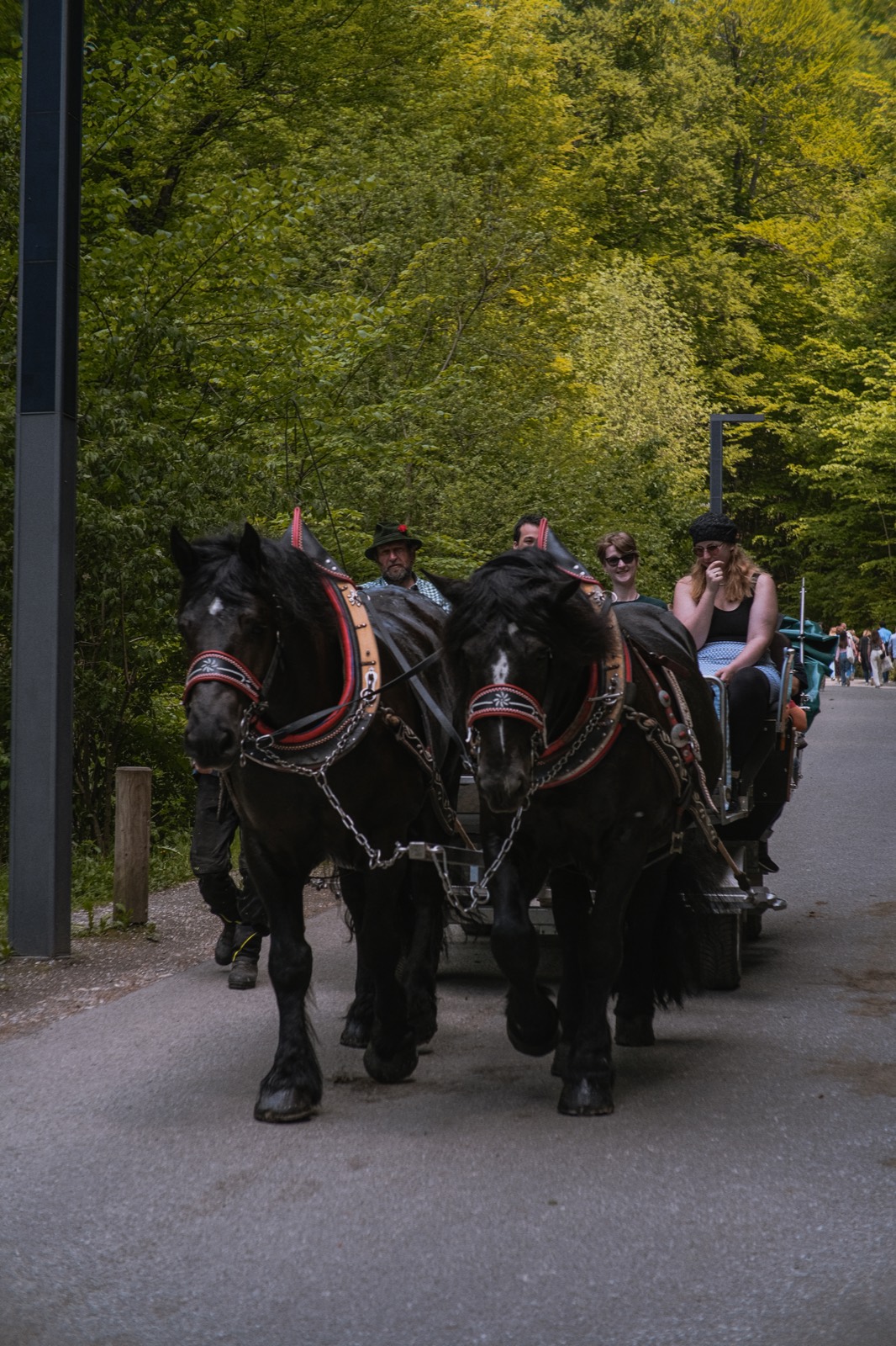 Photograph from Germany