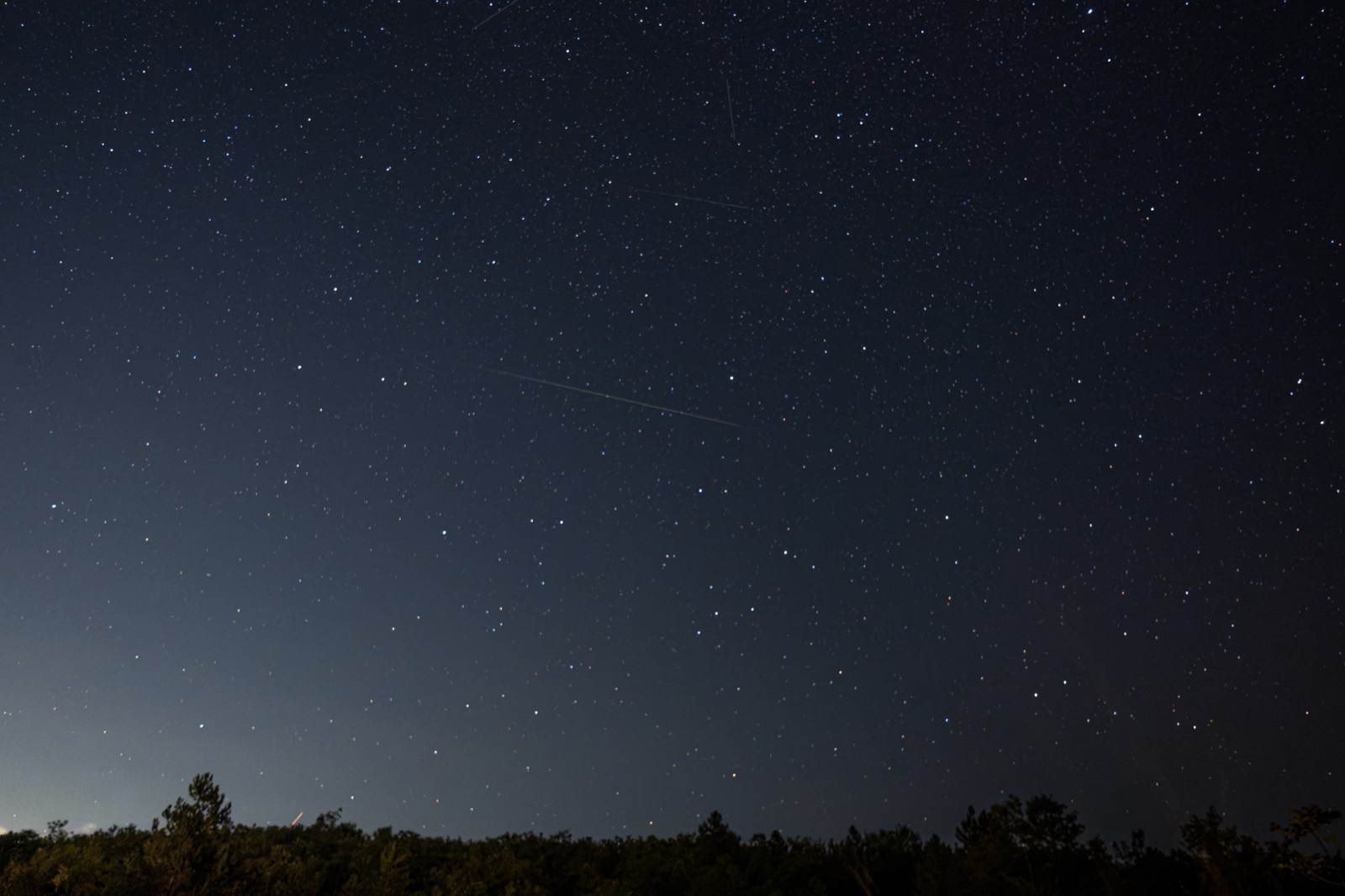 Night sky over a treeline
