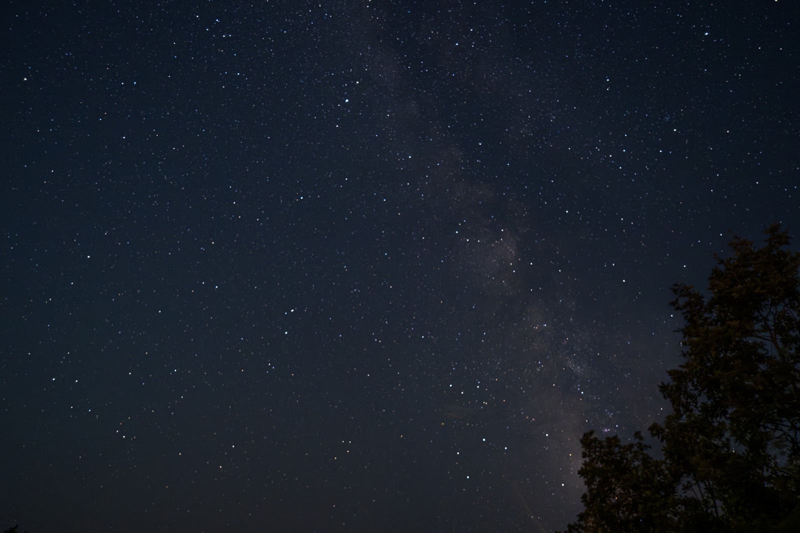 Photograph from Kozjak