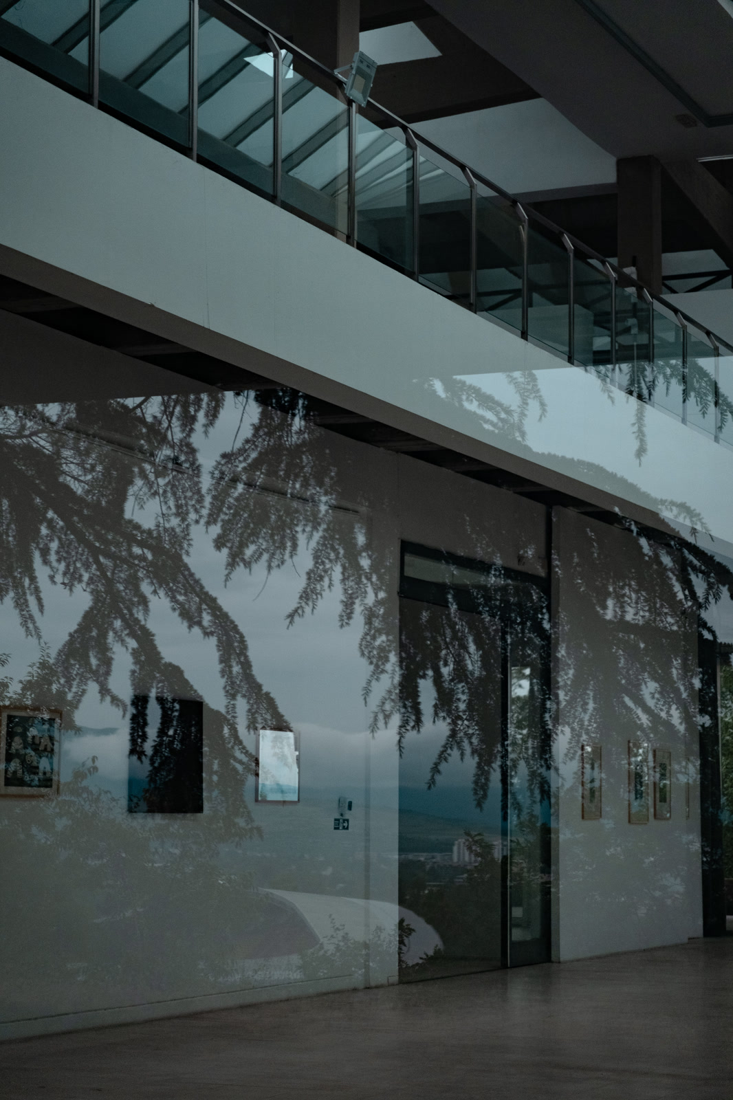 Trees reflected in a gallery's glass wall
