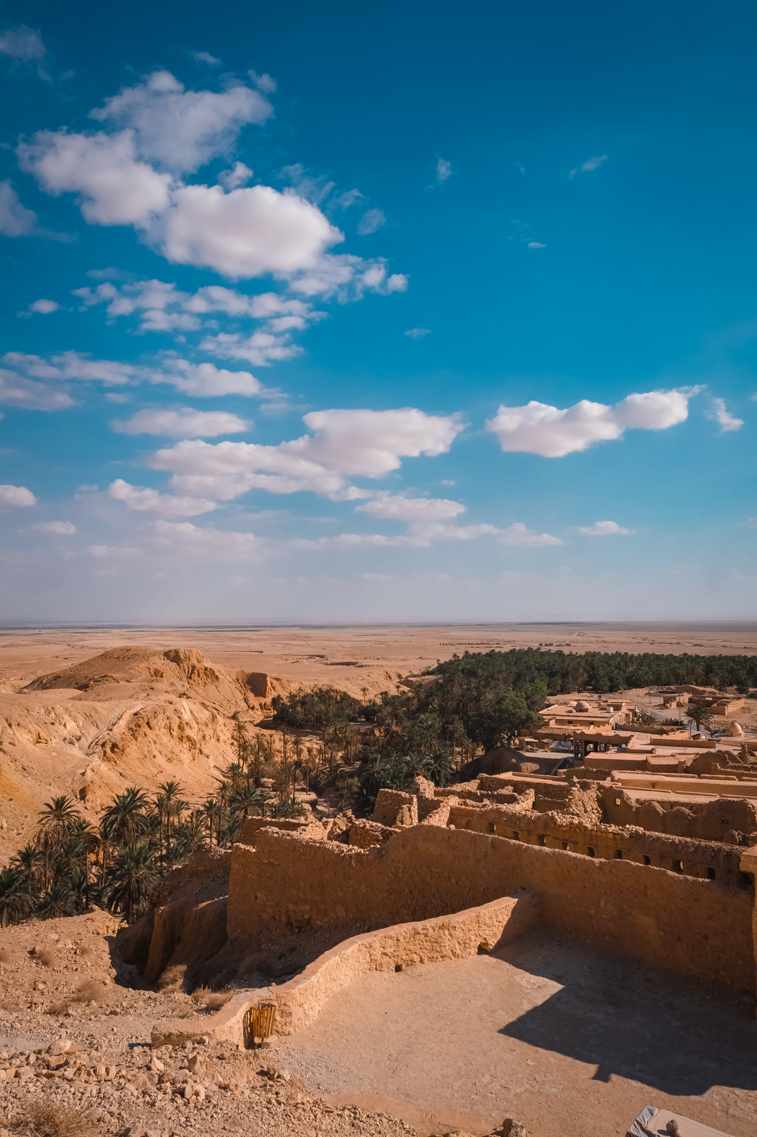 Desert village above a palm oasis